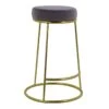 Ann Grey Velvet Counter Stool With Gold Base